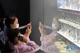 国家海洋博物馆恢复开放图片