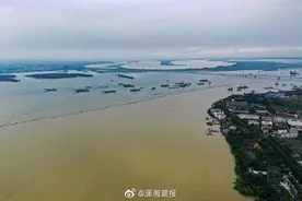 洪水接触的所有食物需丢弃 那大水里捞起的鱼能吃吗？图片