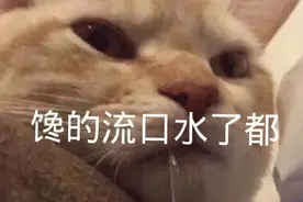 高“烤”生上线！自制烧烤大拼盘 | 奇丸日记图片