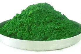 小球藻成云南高原特色农产品出口新亮点图片