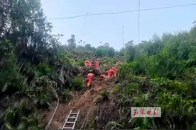 从山上滚落10多米！维修工人从4米高的光缆上摔下，手臂骨折图片