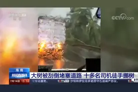 狂风刮倒大树，十多名司机徒手挪树为救护车通路，网友：最美中国人图片