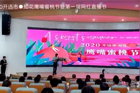 2020开远市鹰嘴蜜桃节甜蜜来袭图片