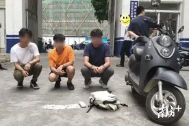 普宁重拳打击“盗抢”：蜜蜂箱也敢偷？抓图片