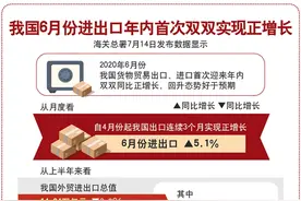迎难而上 逆风飞扬——上半年中国外贸形势观察图片