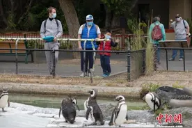 美国2名理发师感染新冠 因戴口罩或避免传染139人图片