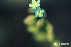 活成自己喜欢的样子（散文）图片