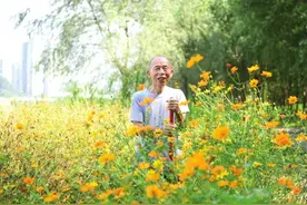 81岁老人三年种出江边花海，株洲河西湘江风光带大片波斯菊成网红打卡地图片