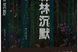 专访｜陈应松：现代传媒世界里，没有“森林的声音”图片
