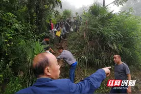 张家界：一路泥泞“云端”赶考 过关斩将静待花开图片