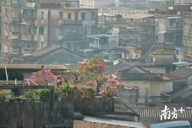 江门这些老旧社区要改造，有你住的社区吗？图片