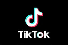 TikTok完成印度政府调查问卷，并“准备好在当地建数据中心”继续服务图片
