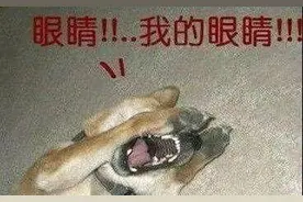 警方通报配色参考来袭，终于不再是刺瞎眼的高饱和蓝了图片