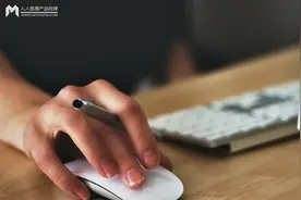 蔡康永肩上为什么总有只鸟？图片