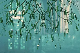 气象、天气和气候这三个概念傻傻分不清？图片