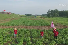 洞庭湖畔有支巡堤“娘子军”视频封面
