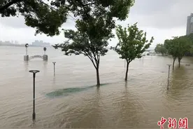 江苏升级石臼湖秦淮河等洪水预警 预测水位继续上涨图片