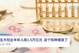 中国财富报道|五大险企半年入账1.5万亿元，这个险种爆发了视频封面