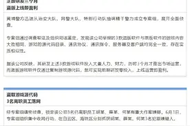 技术参考？实为盗取游戏源代码，盗版上线即盈利图片