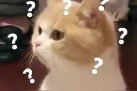 男子扑倒陌生女孩就亲，还无故殴打路人！理由太奇葩…图片