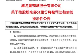 实控人股权被拍卖丢掉公司控制权，ST威龙能否走出困境？图片