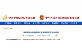 为不实举报澄清正名！中纪委通报湖南6起扶贫领域相关案例图片