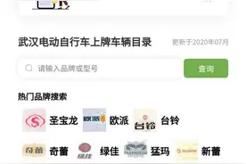 武汉首创二维码管理电动自行车：是否符合上牌标准扫一扫就知道了图片