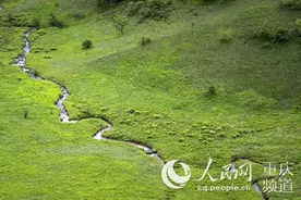 第九届中国大巴山（重庆·城口）消夏养生节17日开幕图片