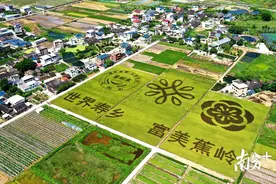 风雨兼程六十载 春华秋实展未来图片