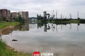 19岁男生校内溺亡！警方：给女友的室友摘荷花导致意外图片