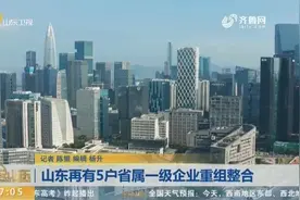 新动态！山东又有5户省属一级企业重组整合，看看具体的整合方式视频封面