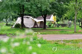 韩国夏季休假旺季将至 露营文化成新宠图片