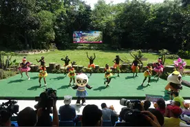 珍稀动物萌宝集结，长隆野生动物世界即将开启“夜经济”图片