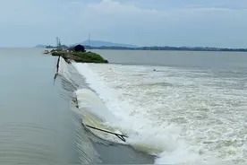 鄱阳湖区单退圩堤行洪，村民：若洪水久泡不退今年就要绝收了图片
