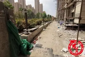 哈市富达蓝山小区居民反映：别墅区一处围墙被拆 破坏公园绿地图片