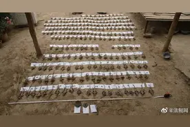 新疆吐鲁番破获非法狩猎案 扣押新疆岩蜥281只图片
