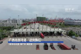 广西北部湾港“逆势飘红”视频封面