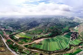 甘肃定西“蓝天模式”金融扶贫：订单收购不再“打白条”图片