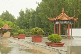 泰安新泰市翟镇春阳庄村：加快推进泰安市级乡村振兴先行区建设图片