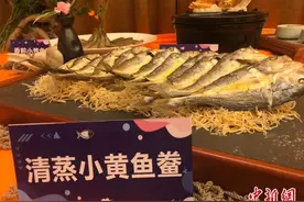 七年技术攻关 中国小黄鱼实现大规模全人工养殖图片