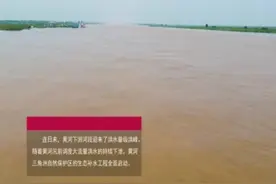 首次人工控制漫滩补水，黄河三角洲国家级自然保护区生态补水量创历史新高图片