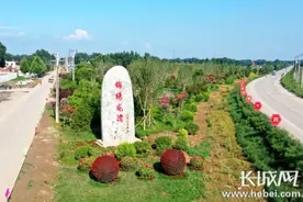 雄安新区胡各庄村：村里卖起花 村民有钱花图片