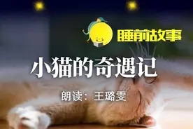 睡前故事丨小猫奇遇记图片