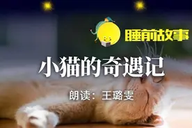 睡前故事丨小猫奇遇记图片