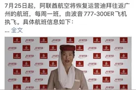 阿联酋航空7月25日复航中国内地 每周1班迪拜-广州图片