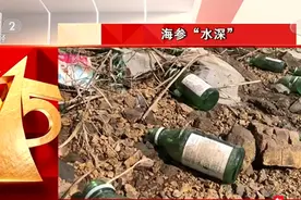 “315晚会”第一弹：海参水“深”！养海参整箱放敌敌畏，南方海参冒充北方海参图片