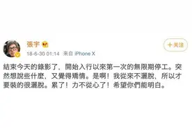 张宇隐退两年露面 满头白发像老10岁图片