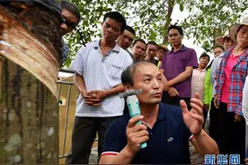 海南琼中：发放电动割胶刀 助农民提高割胶效率图片