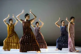 金星把舞台交给“后浪”：中国的现代舞不只需要“金星”这一棵大树图片