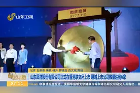 山东凤祥股份有限公司在香港联交所上市，聊城上市公司数量达6家视频封面